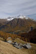 20091028_133602 Colvedro.jpg